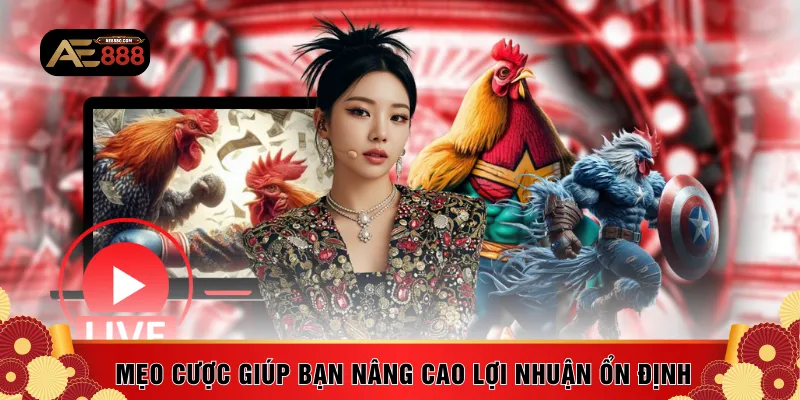 Mẹo cược giúp bạn nâng cao lợi nhuận ổn định